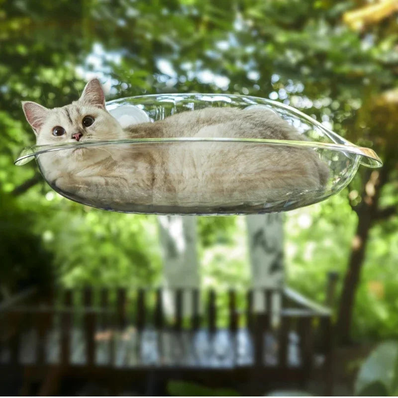 Transparent Cat Window Perch