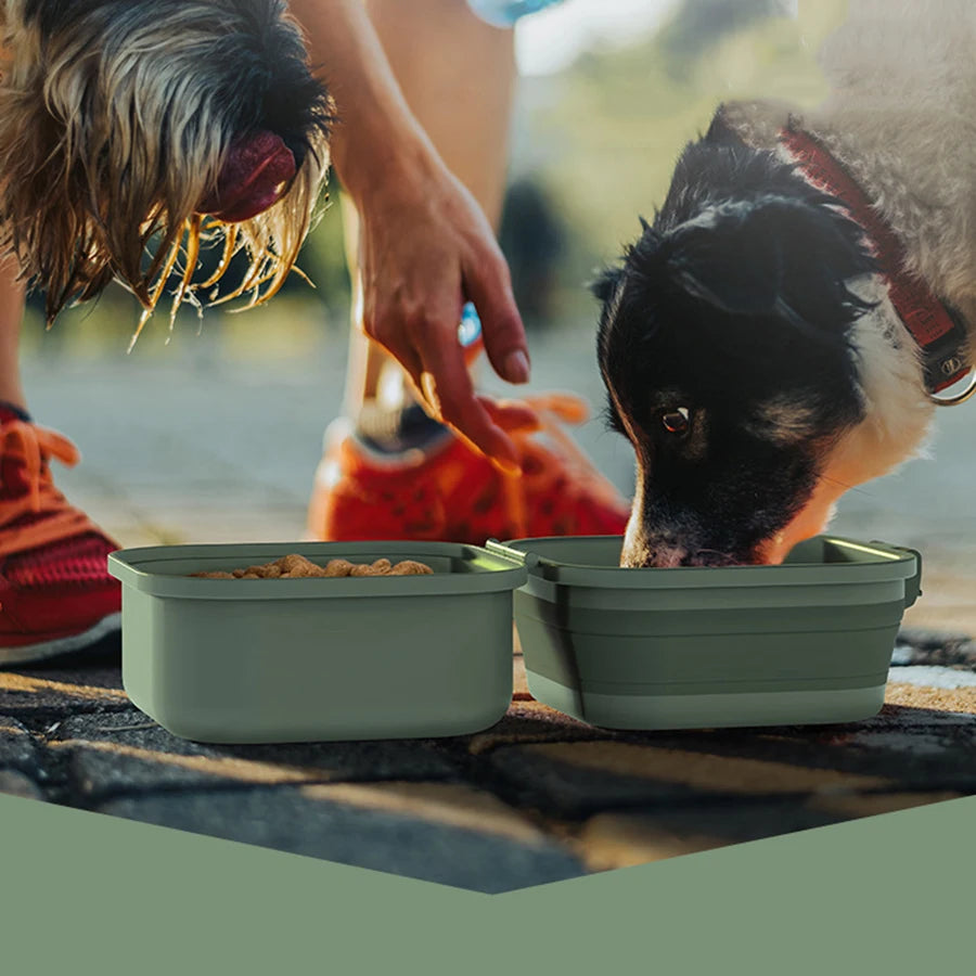 Portable Travel Pet Bowl