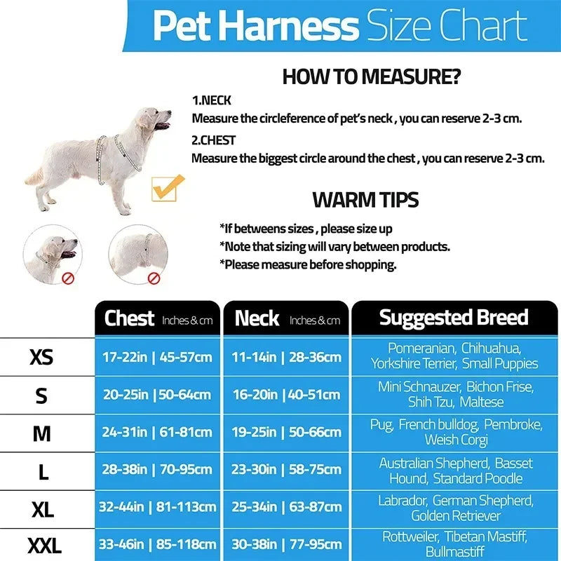 Custom ID Dog Harness