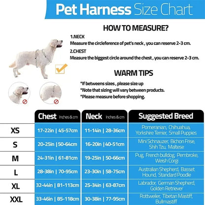 Custom ID Dog Harness