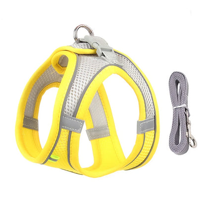 Cat Harness & Leash Set