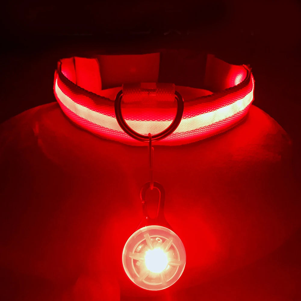 Glowing Dog Collar With Pendant