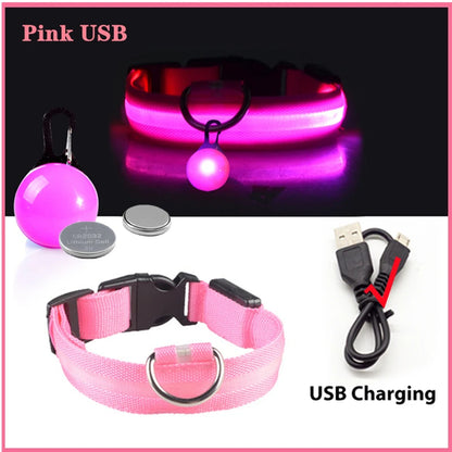 Glowing Dog Collar With Pendant