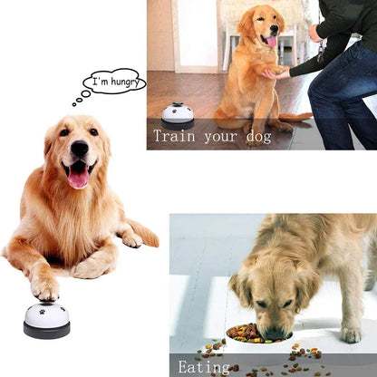 Training Interactive Pet Bell