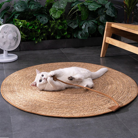 Cat Scratcher Mat With Ball