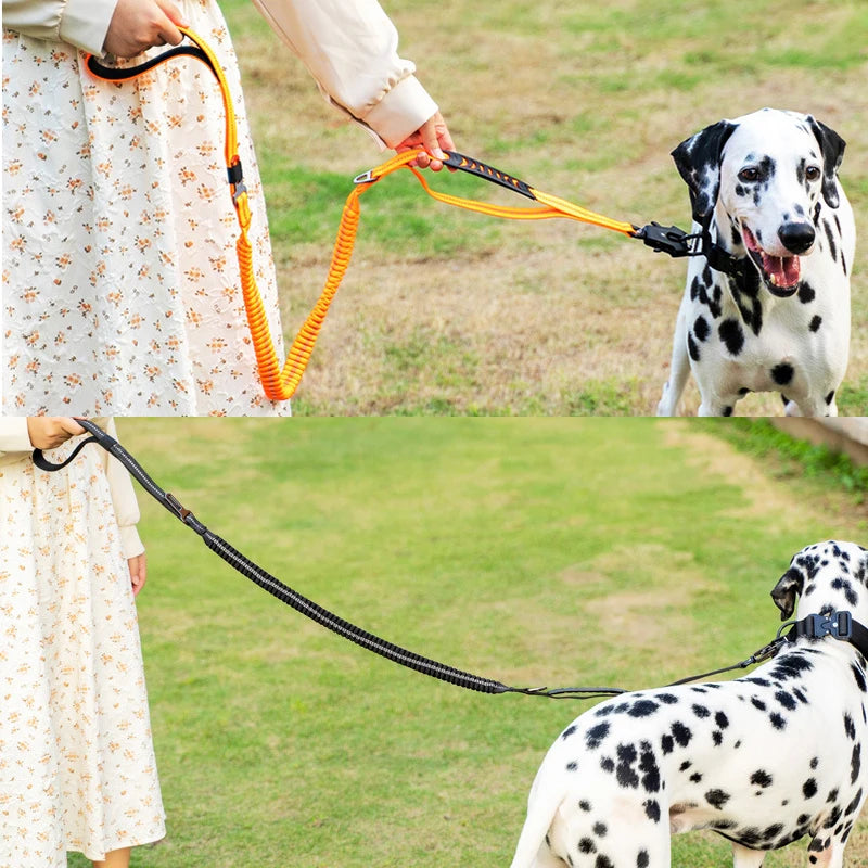 Multi-Function Heavy Duty Bungee Dog Leash