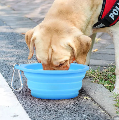 Collapsible Silicone Pet Bowl