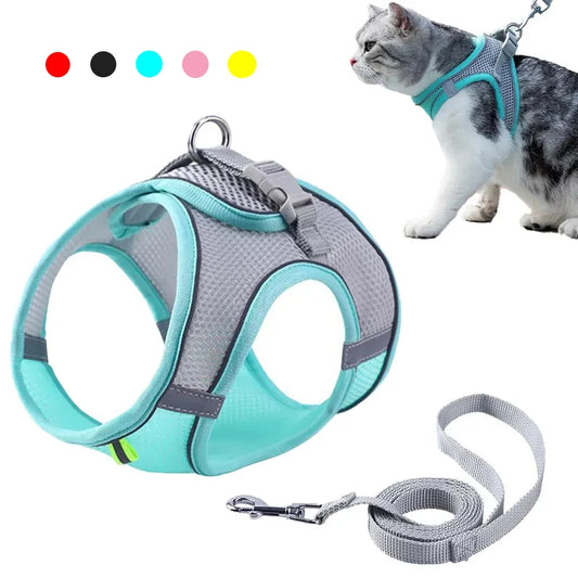 Cat Harness & Leash Set