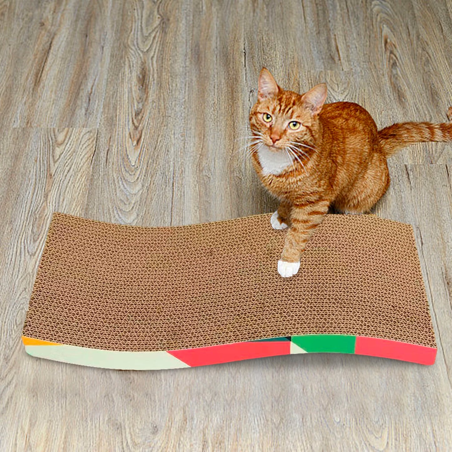 Cat Cardboard Scratcher