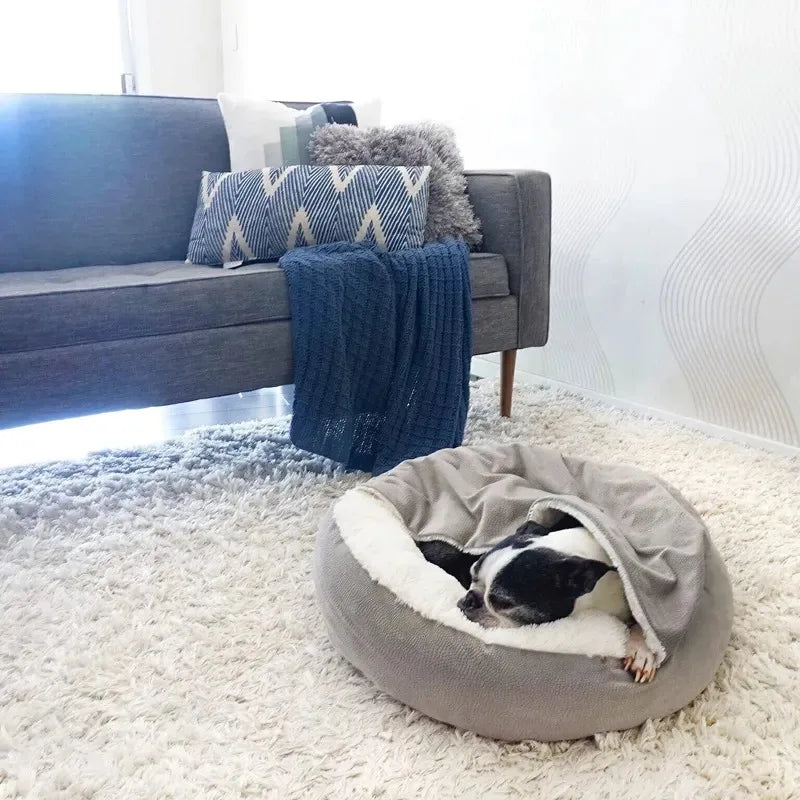 Super Comfortable Dog Bed With Blanket