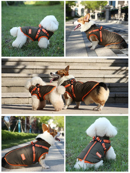 Small Dog Waterproof Jacket