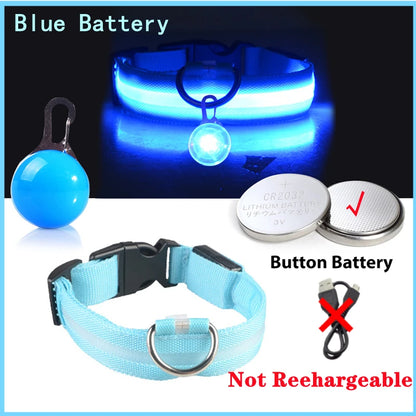 Glowing Dog Collar With Pendant