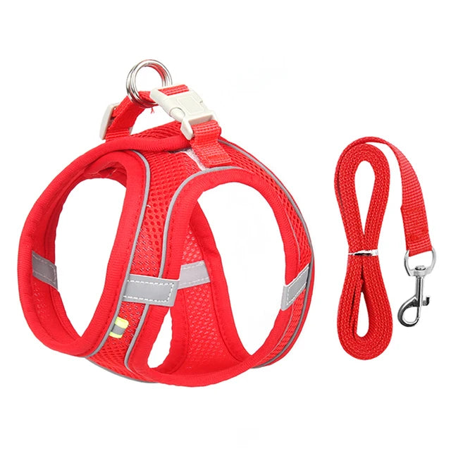 Cat Harness & Leash Set