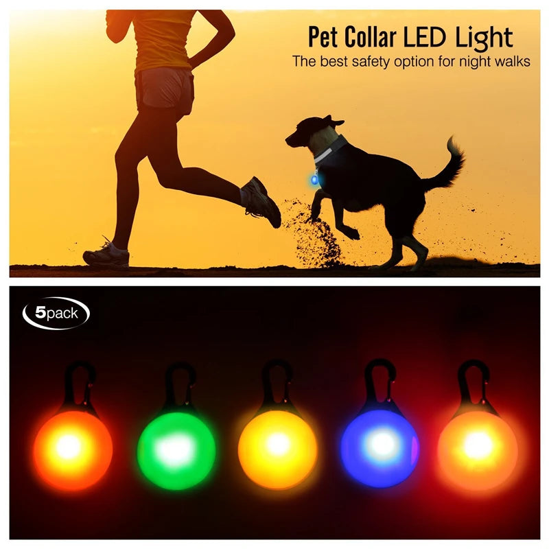 Glowing Dog Collar With Pendant