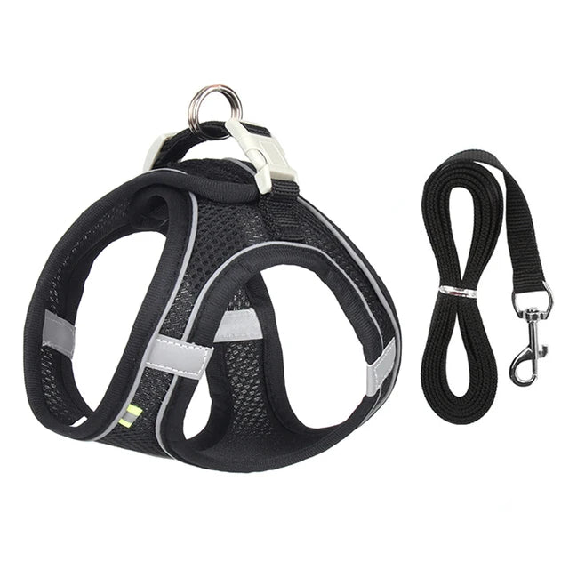 Cat Harness & Leash Set