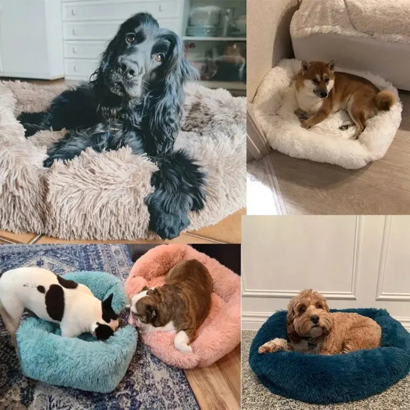 Rectangle Plush Dog Bed