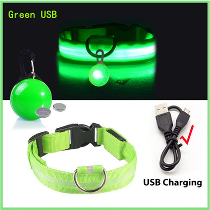 Glowing Dog Collar With Pendant