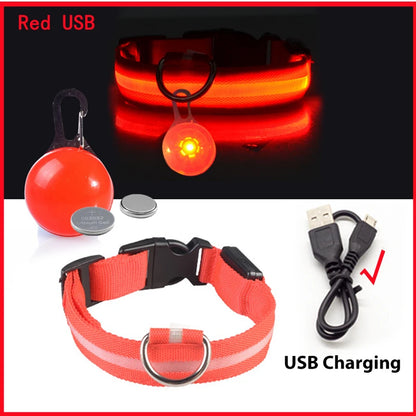 Glowing Dog Collar With Pendant