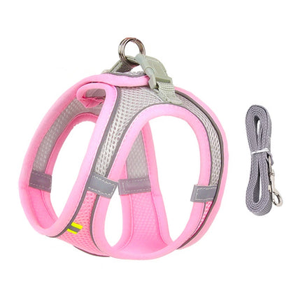 Cat Harness & Leash Set