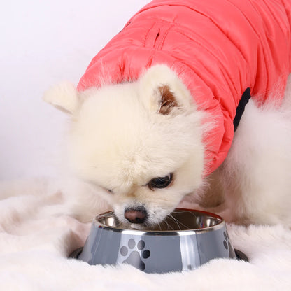 Paw Print Pet Bowl