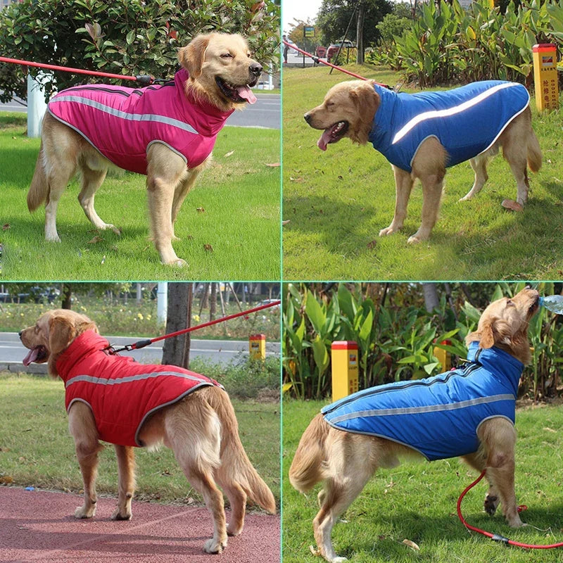 Waterproof Padded Dog Jacket