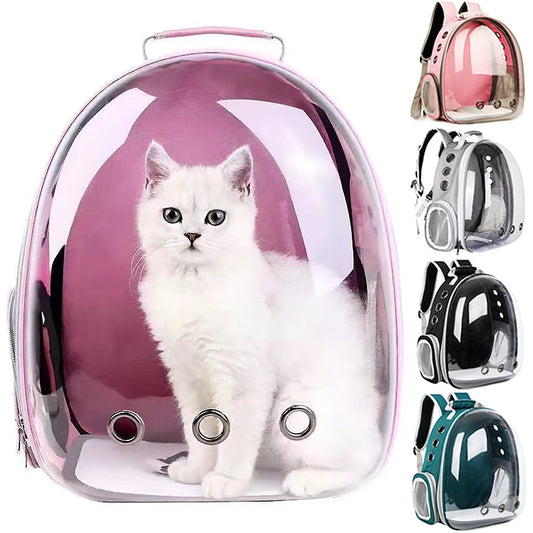 Transparent Bubble Cat Backpack