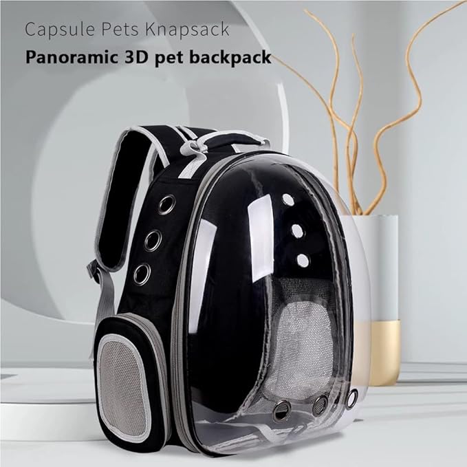 Cat Bubble Transparent Backpack